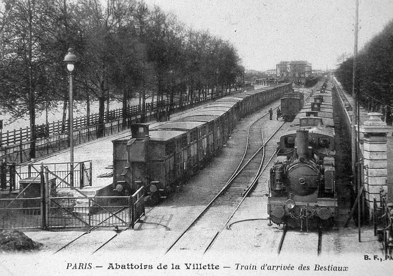 Trains stationnant à la gare de Paris-Bestiaux. 