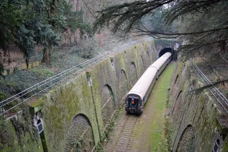 Le train spécial du 18 janvier 2012 dans la tranchée du parc Montsouris. 