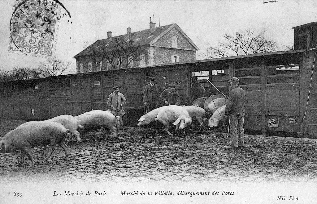 Débarquement du bétail à la gare de Paris-Bestiaux 